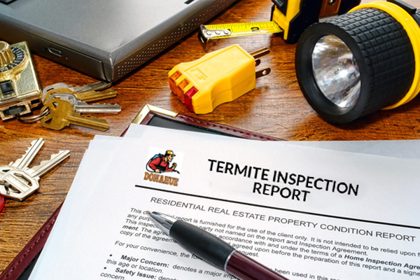 Organic Treatments for Termites