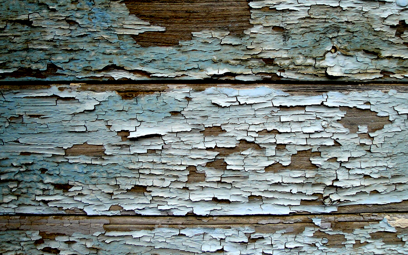 Damage caused by Termites photo