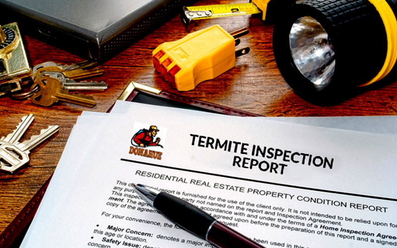 Inspection Reports findings regarding Termite activiey on property