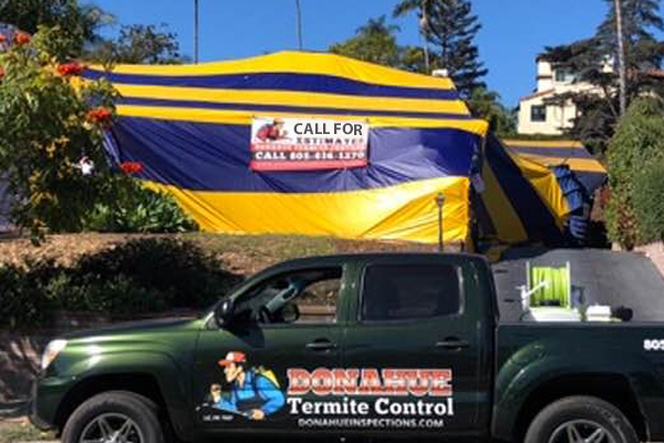 Tent Fumigation Process for Termites