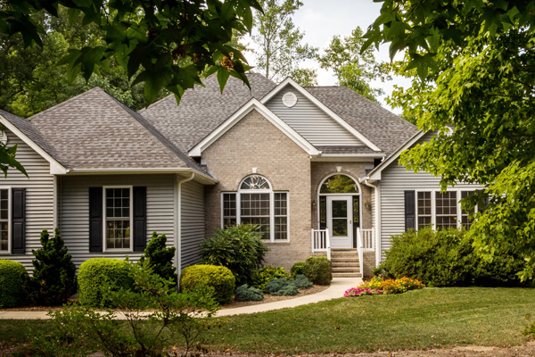 We service Home Owner Associations for Termite Damage and Exterminations